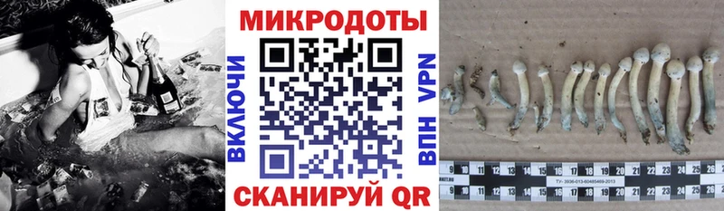 Псилоцибиновые грибы мухоморы  MEGA онион  Бахчисарай  где можно купить  